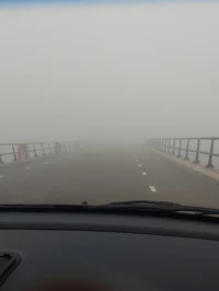 The fog drive
