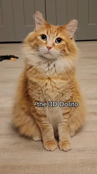 3D dorito