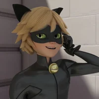 Cat noir