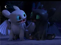 Light and night fury
