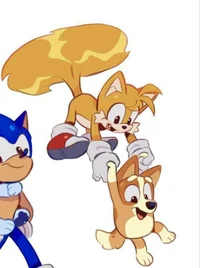 Tails and Bingo
