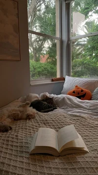 Roomate RP V2