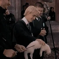 Draco malfoy 