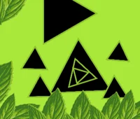 playprotect leafwall