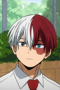Todoroki Shoto 