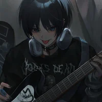 Wanderer -Guitarrist