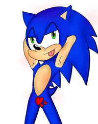 Sonic the hedgehog