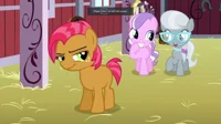 My little Pony