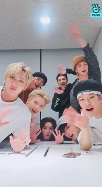 Straykids 9th member