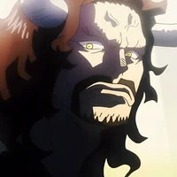 1OP Kaido