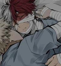 Shoto Todoroki