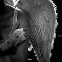 Irascible angel