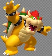 Bowser
