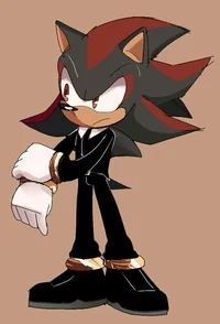 Shadow the hedgehog