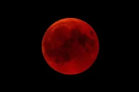 The Blood Moon