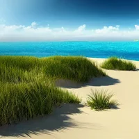 Deserted Island