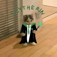 Slytherin 