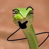 judgmental shoelace