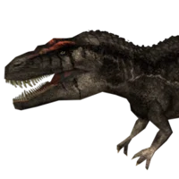 Carcharodontosaurus 