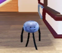 Blueberry