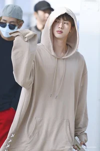 Idol Kim Seokjin