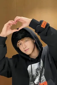 Idol Han Jisung
