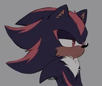 Shadow the hedgehog