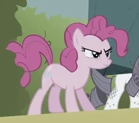 Pinkie pie