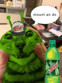 mount an doo cat