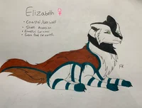 Elizabeth the wolf