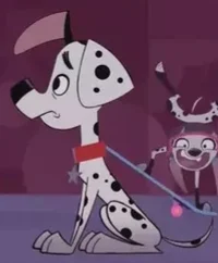 Dylan Dalmatian