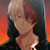 Shoto Todoroki 