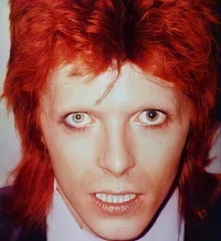 Ziggy Stardust 