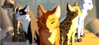 Warrior cats