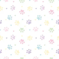 Ship model competiti