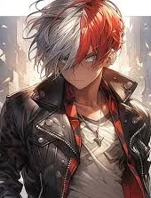 Shoto Todoroki 