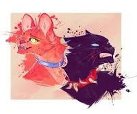 Warrior Cats