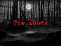 The woods