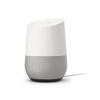 google home