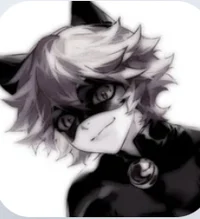 Cat Noir 