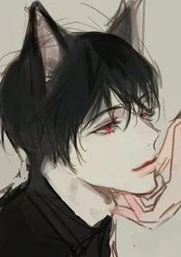 Male Cat - BL