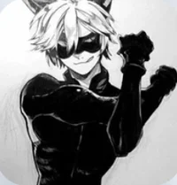 Cat Noir