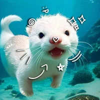 Gato-de mar