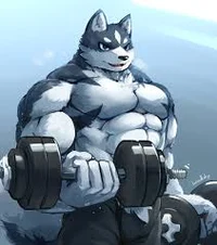 Buff Husky 