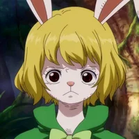 Carrot