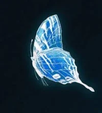 I Became A Butterfly