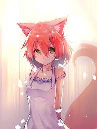 ur fox roomie