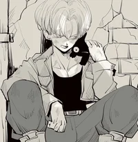 Trunks Brief