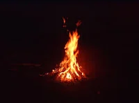 PJO Campfire Song