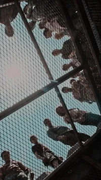 The maze runner